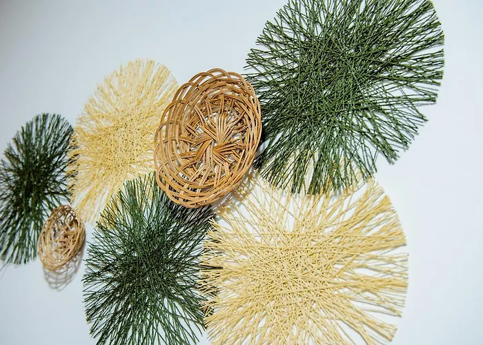 Bugio 산타 크루즈